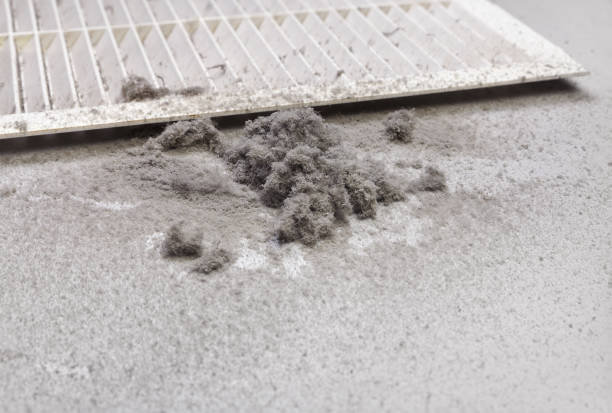 Best Air Duct Cleaning Near Me  in Hazelwood, MO