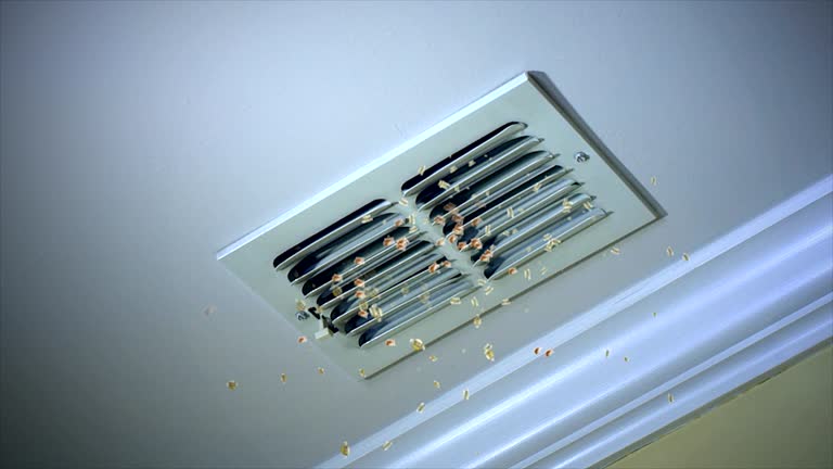 Best Home Air Vent Cleaning  in Hazelwood, MO
