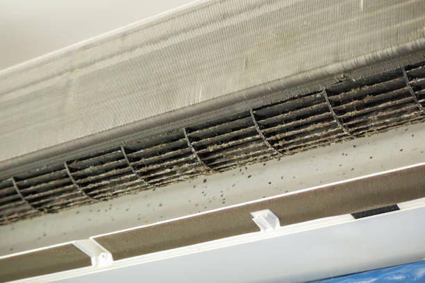 Best Best Air Duct Cleaning Company  in Hazelwood, MO